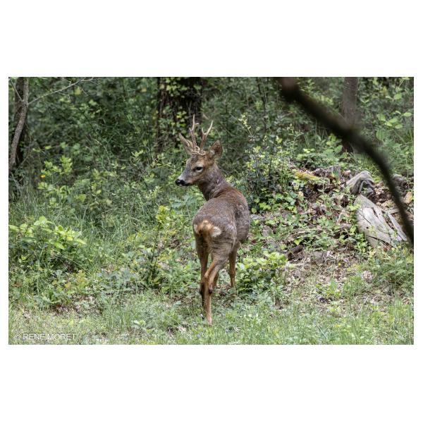 PHOTO84, CLUB, 84 , LUBERON
